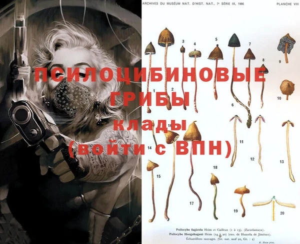 дмт Новокубанск