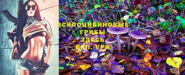 apvp Новодвинск