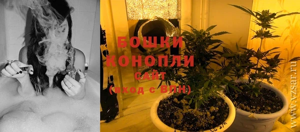 первитин Няндома