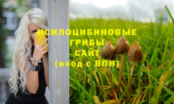 дмт Новокубанск