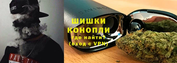 дмт Новокубанск