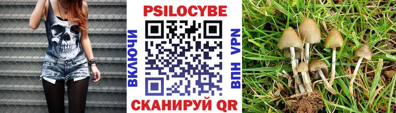 Псилоцибиновые грибы прущие грибы Луза